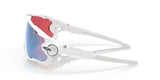 Oakley Jawbreaker Prizm Snow Collection Sunglasses Polished White Frame/ Prizm Snow Sapphire Lens OO9290-2131